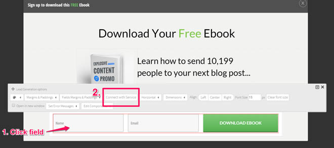 Connecting Thrive Leads via API connection to major email service providers