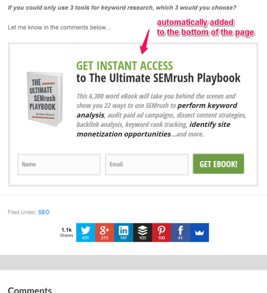 Thrive Leads post-footer opt-in form