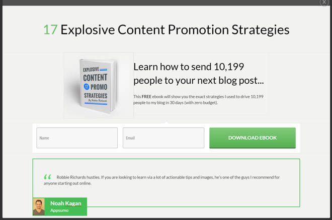 Opt-in form with testimonial