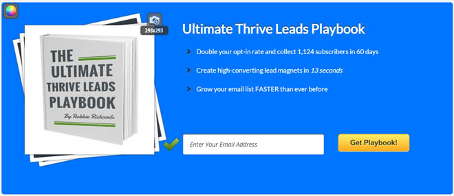 Thrive Leads feature box