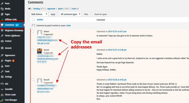 Promote your giveaway to blog commenters