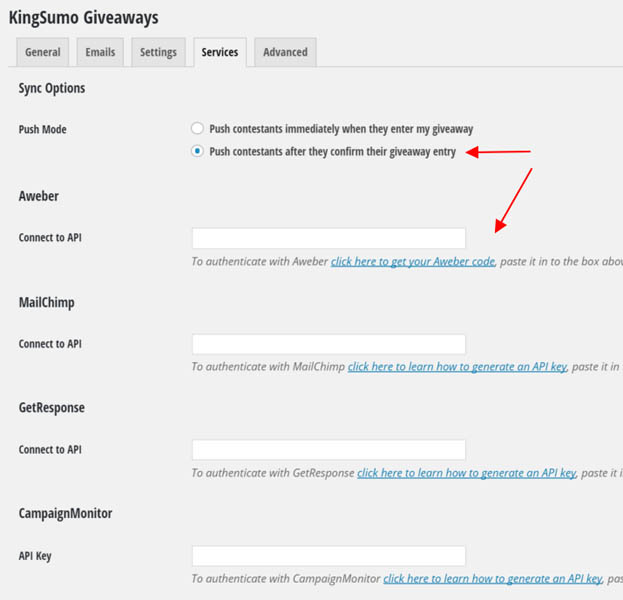 Connect giveaway to your autoresponder