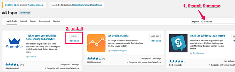 Installing Sumome within WordPress
