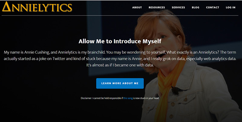 Annielytics website example
