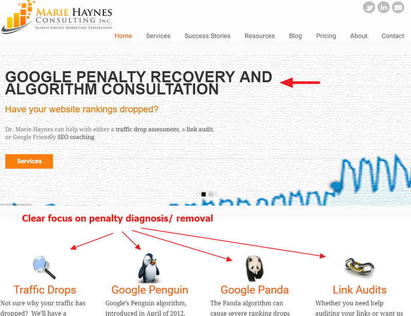 Marie Haynes penalty removal focus