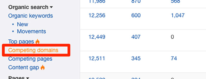 Ahrefs Competing Domains report
