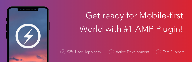 AMP for WP SEO plugin