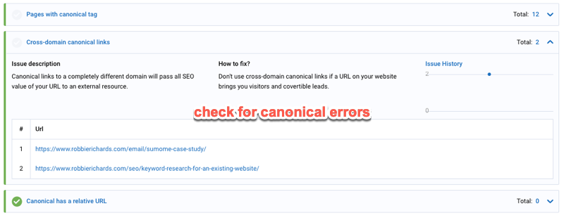 site audit canonical