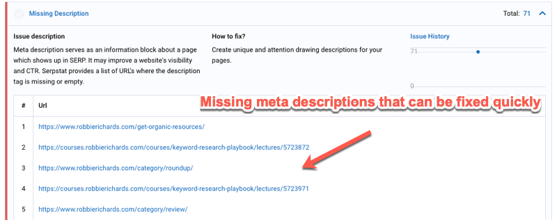 site audit descriptions